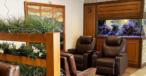 William's Court Massage Chairs