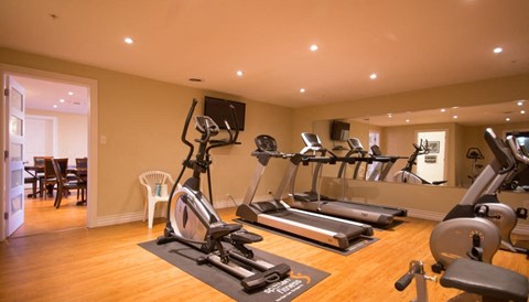 A well-equipped gym with treadmills, elliptical machines, and weights.