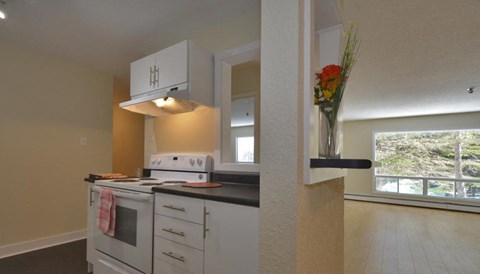 A kitchen with white appliances and a window overlooking a green landscape.