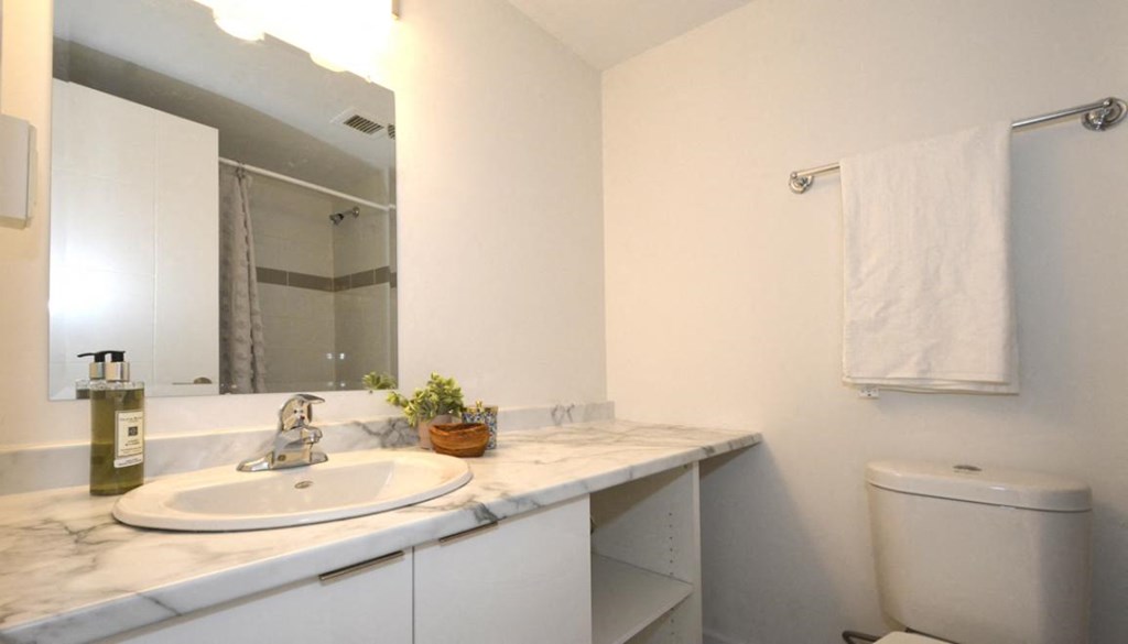 a bathroom with a sink and a mirror and a toilet