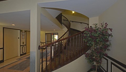 A staircase with a wooden railing and a plant on the side.
