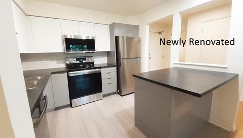 A newly renovated kitchen with stainless steel appliances and a black countertop.