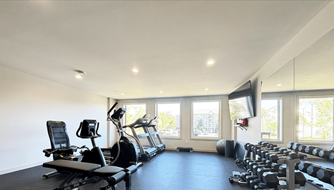 the gym has plenty of cardio equipment and windows