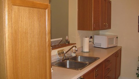 A kitchen with a sink and a microwave.