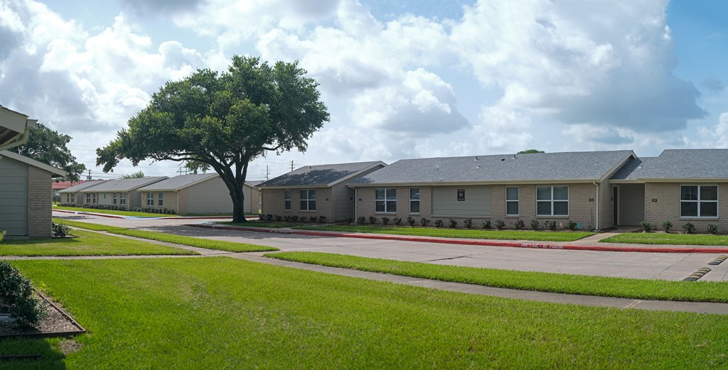 a row of houses on the side of a street