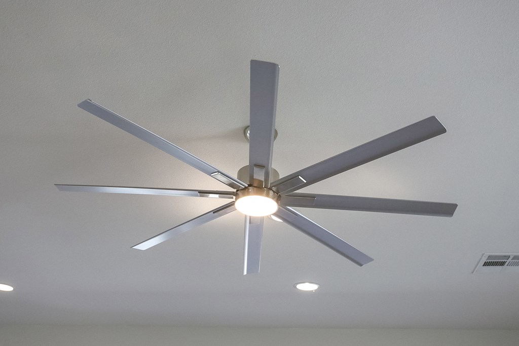 a ceiling fan with a light