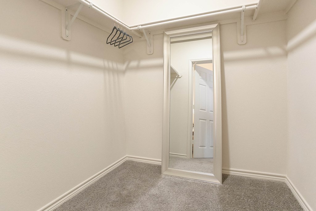a walk in closet with a mirror and a closet door