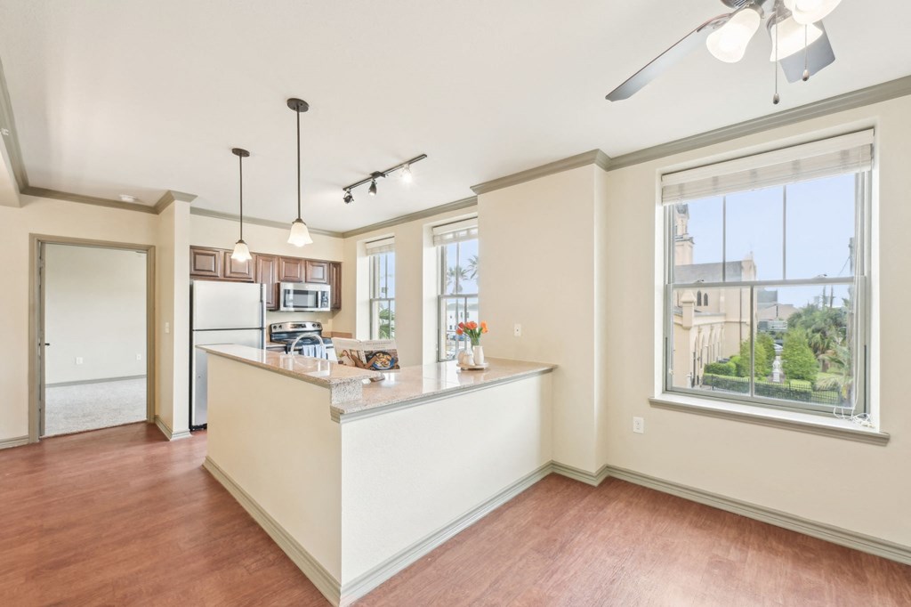 A well-lit reception area with a counter and a window showing a view of a building outside.