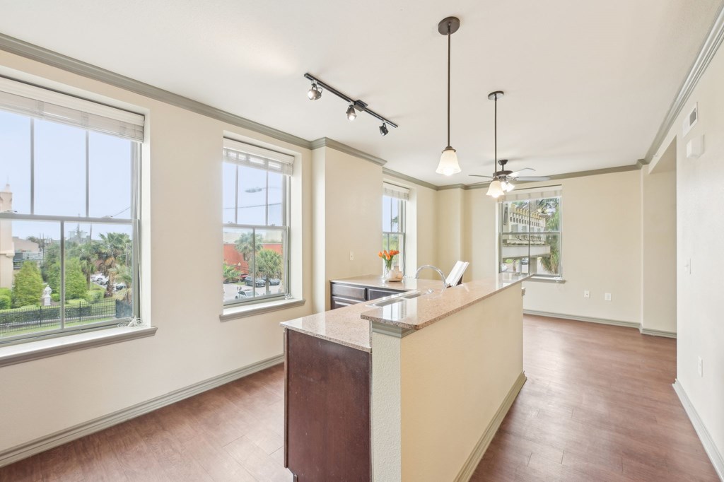 A reception area with a counter and a window overlooking a green area.