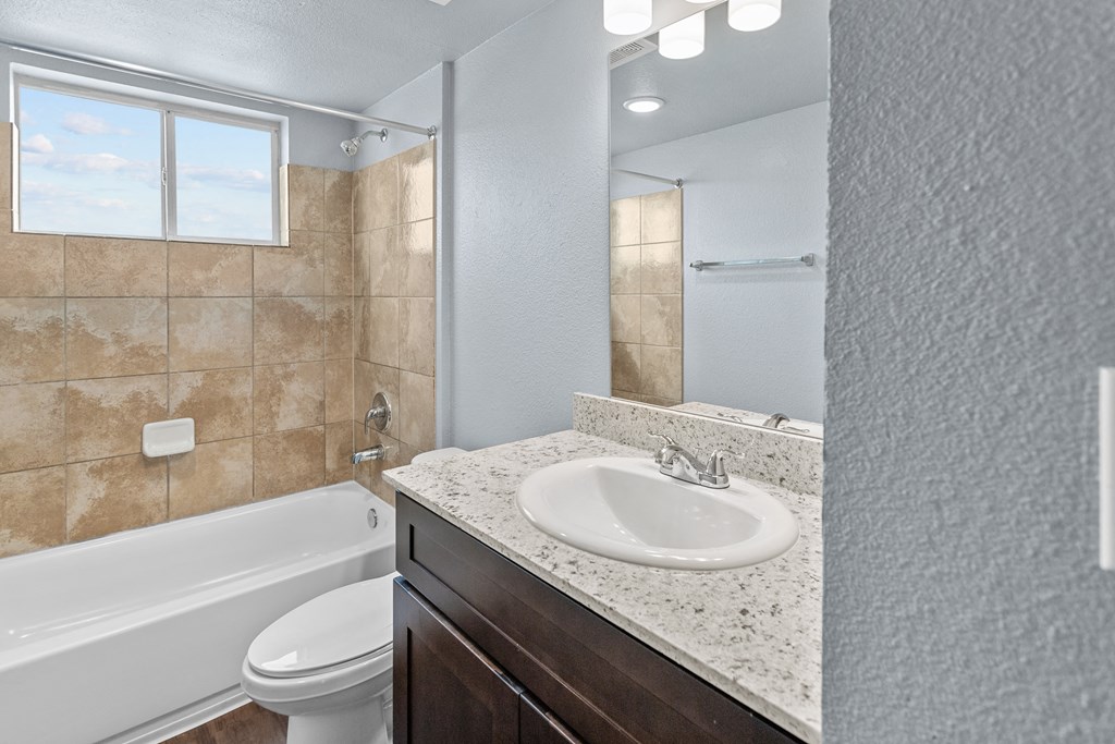 a bathroom with a sink and a toilet and a tub