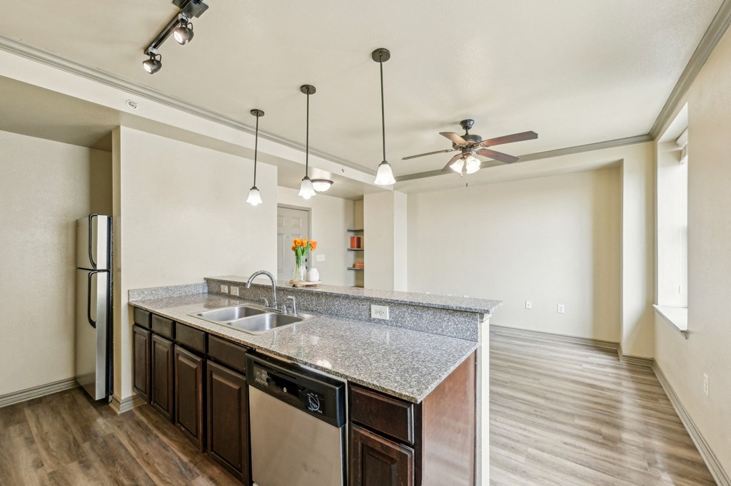 A kitchen with a granite countertop and a stainless steel dishwasher.