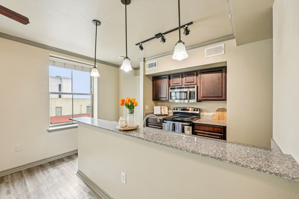 A kitchen with a counter and cabinets.