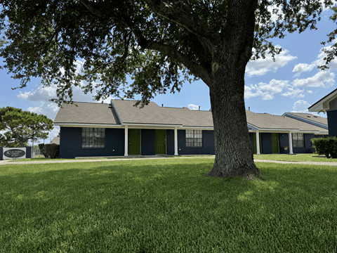 A tree stands in front of a blue house.