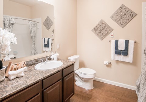 A bathroom with a toilet, sink, and a mirror.
