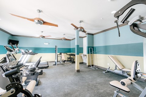 A gym with a variety of equipment including treadmills, exercise bikes, and weight machines.