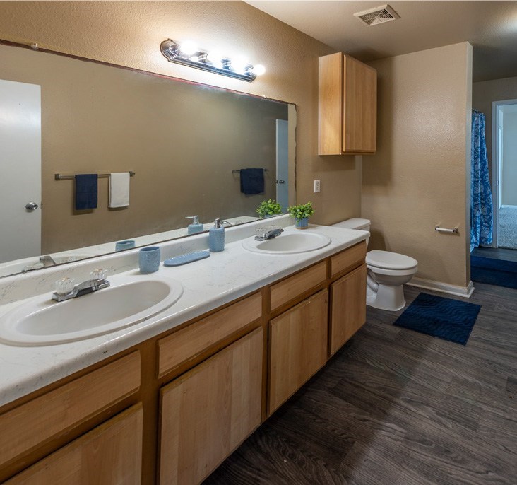 A bathroom with two sinks and a toilet.