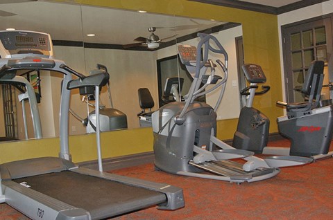 A gym with treadmills, elliptical machines and a fan.