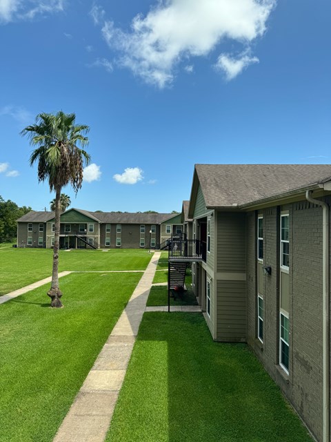 A building with a green lawn and a palm tree in front.