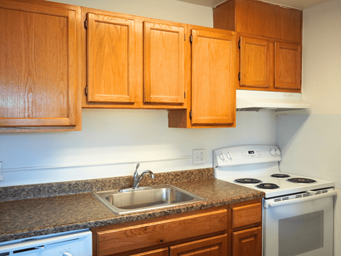 A kitchen with a stove, sink and cabinets.