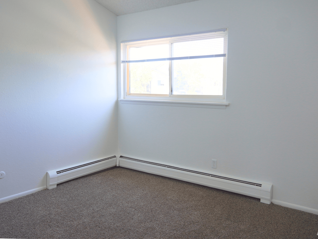 A room with a window and a carpeted floor.