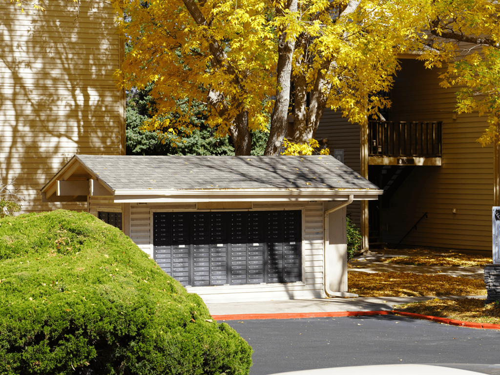 A small building with a garage door is surrounded by trees with yellow leaves.