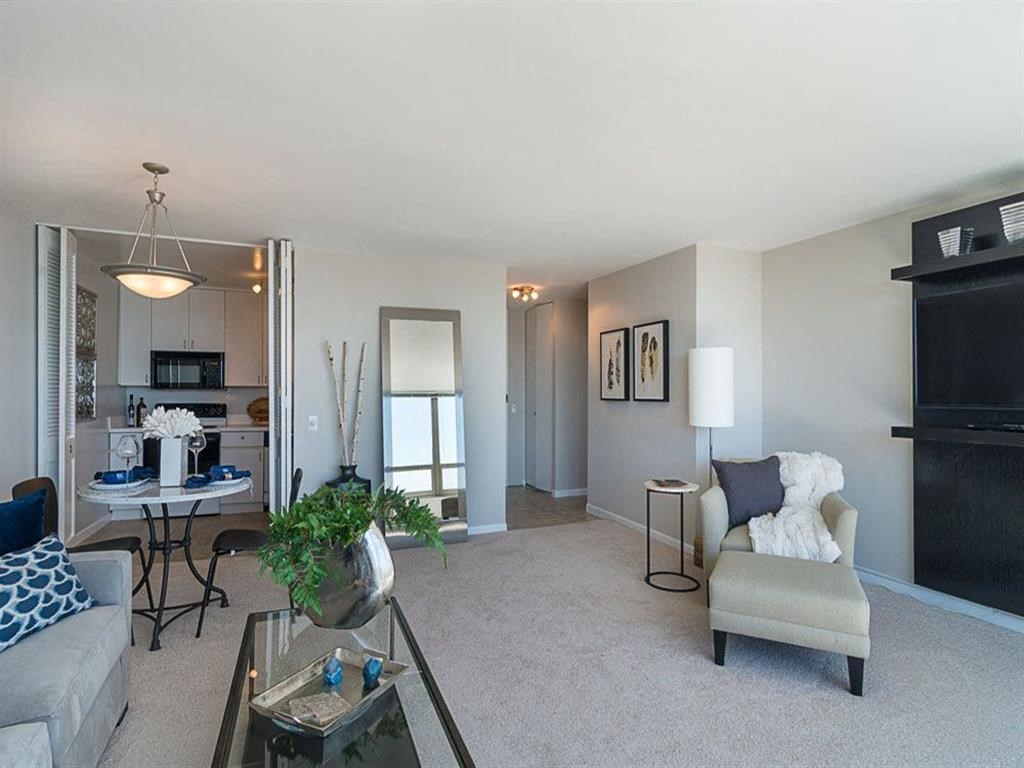 Spacious Living Room Area with Space for Dining Room table