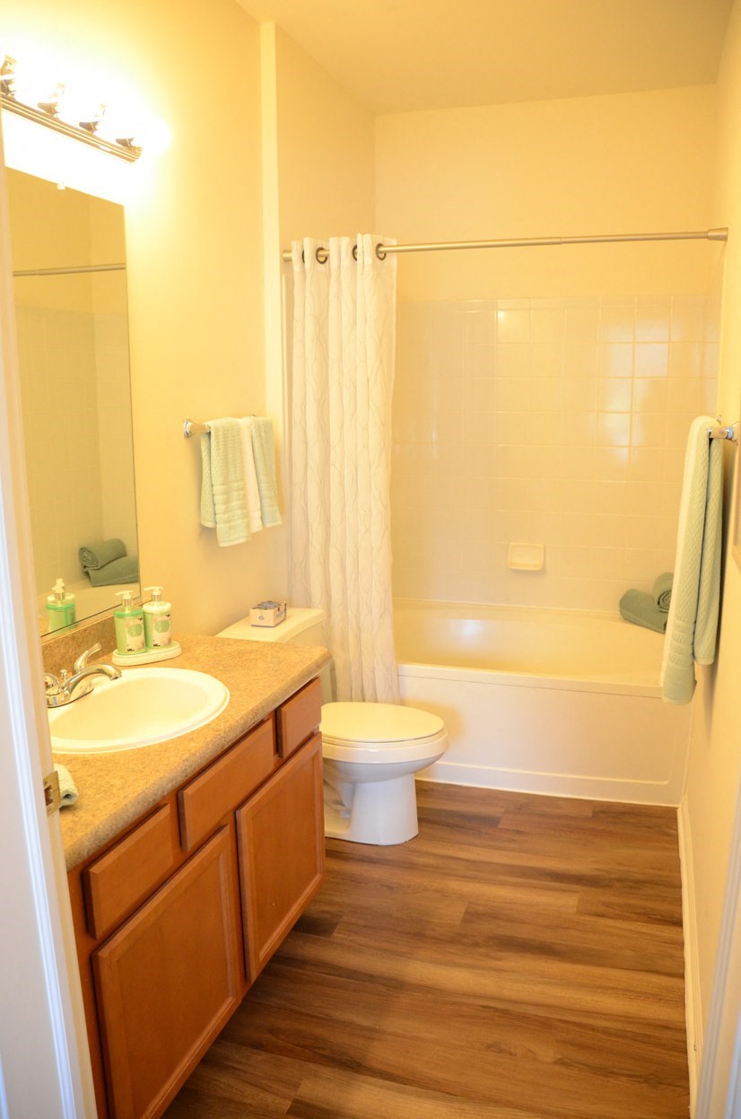 Master Bathroom at Remington Apartment Homes, Romeoville
