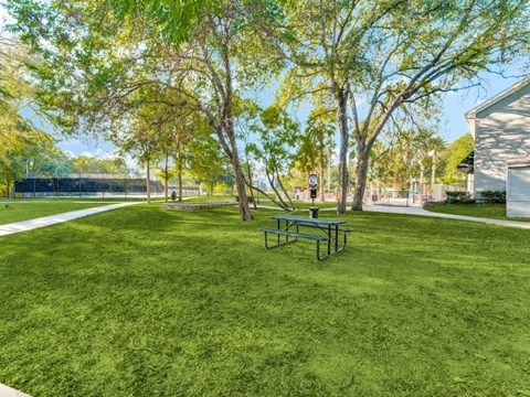 A park with a bench and trees.