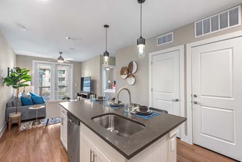A kitchen with a sink, a window, and a plant.