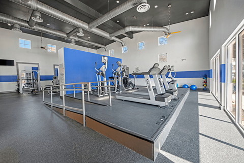 A gym with a blue wall and a row of treadmills.