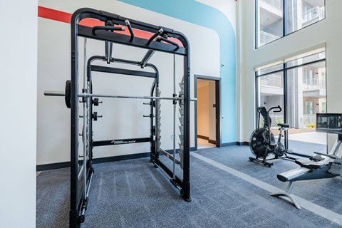 A gym with a squat rack and a bench press.