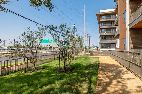 A tree-lined sidewalk in front of a multi-story apartment building.