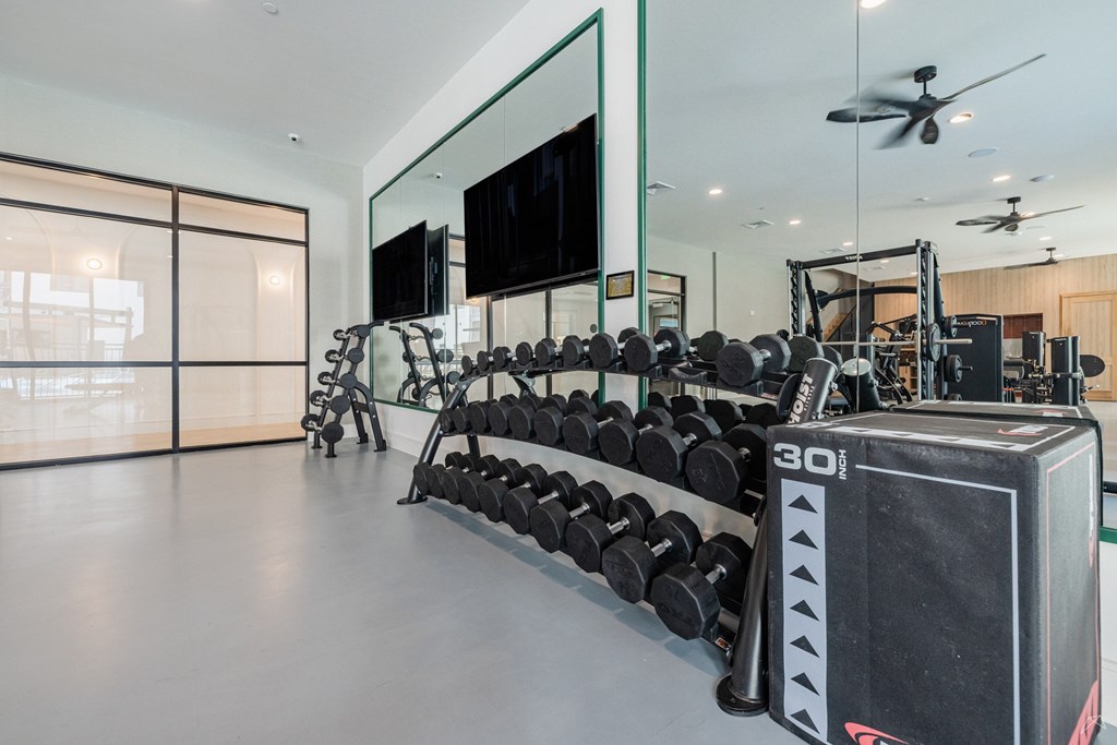 A gym with a row of dumbbells and a weight machine.