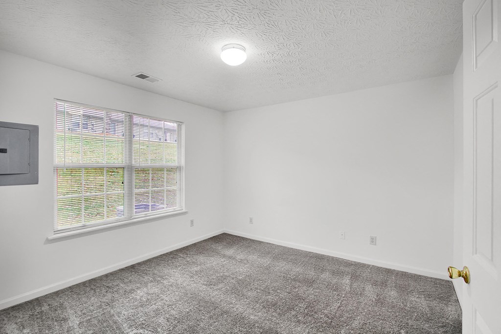 an empty room with carpet and a window  at Aberdine Place, Kentucky, 40324