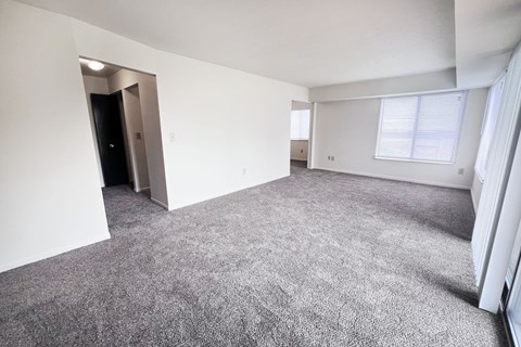 A spacious room with grey carpeting and white walls.