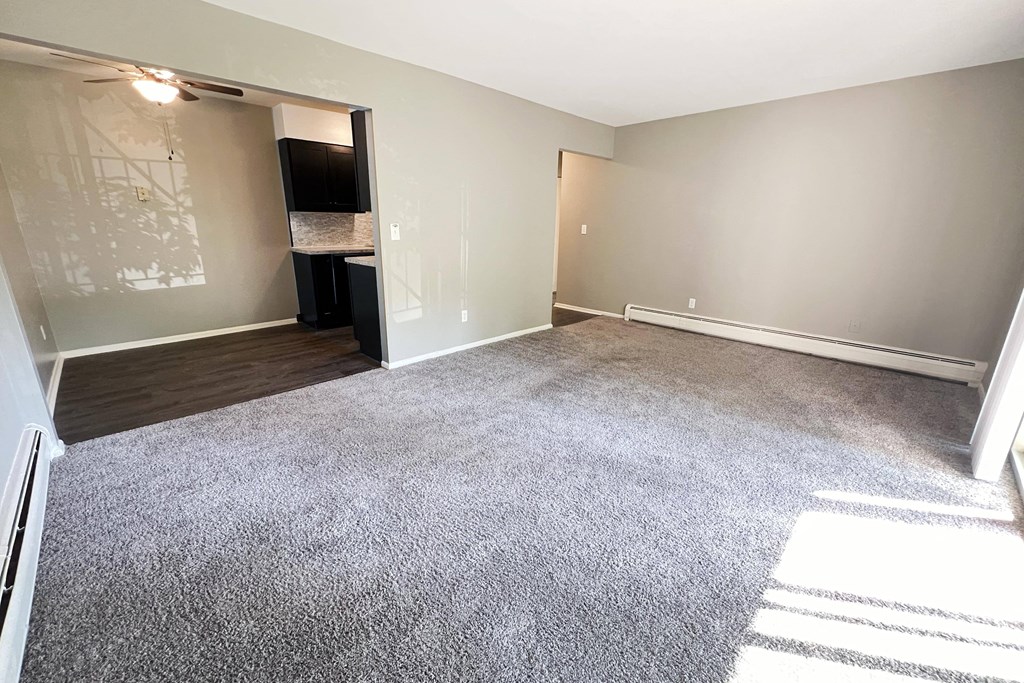 an empty living room with a carpeted floor and a door to a closet