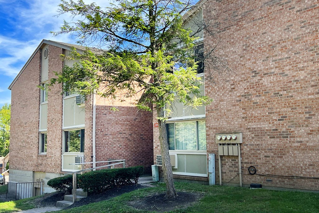 A tree in front of a brick building with a sign on the wall.