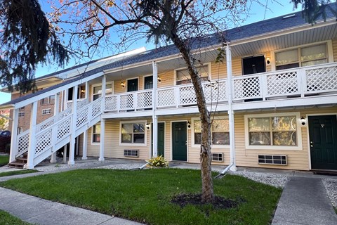 A tree is in front of a building with a white balcony.