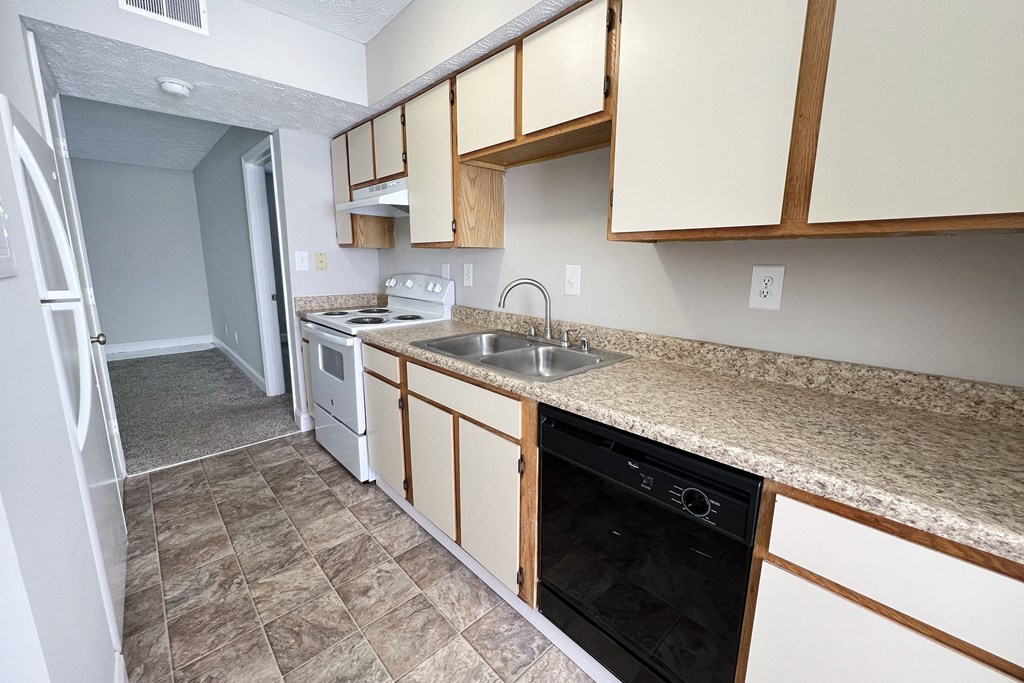 an empty kitchen with a sink and a dishwasher at 450 on Keeneland Apartments, Richmond, 40475