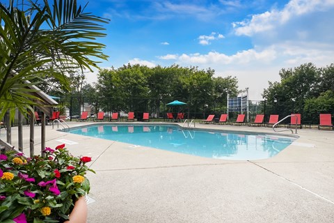 A pool surrounded by red chairs and a green umbrella.