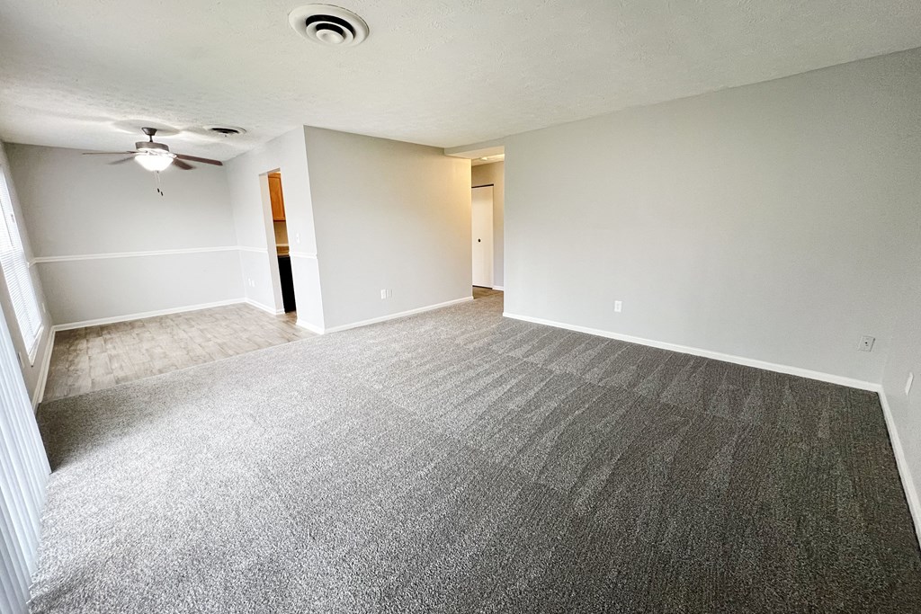 A room with a grey carpet and a ceiling fan.