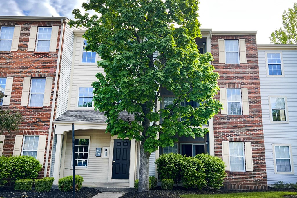 a tree in front of an apartment building at Woodhills Apartments, West Carrollton