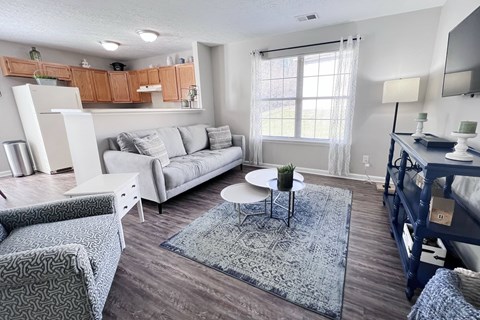 A living room with a grey sofa and a grey rug.