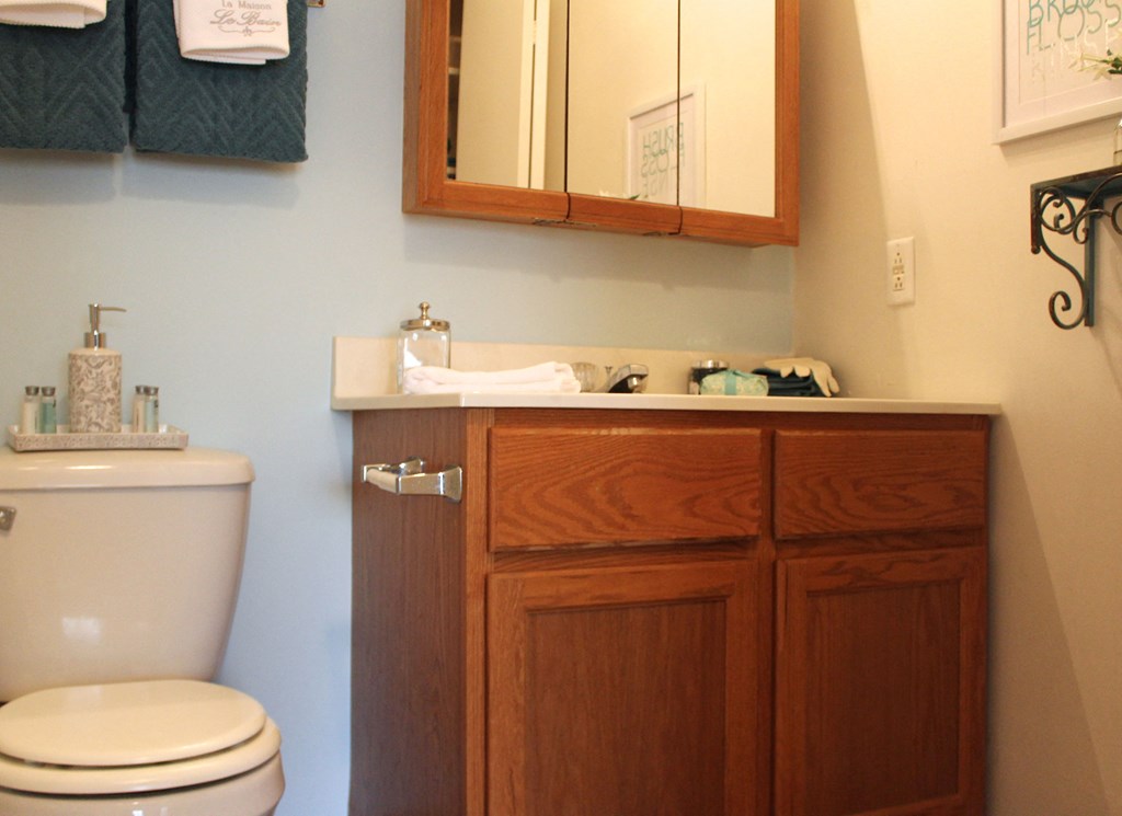 a bathroom with a toilet and a sink and a mirror  at Hunter's Creek Apartments, Cincinnati, OH