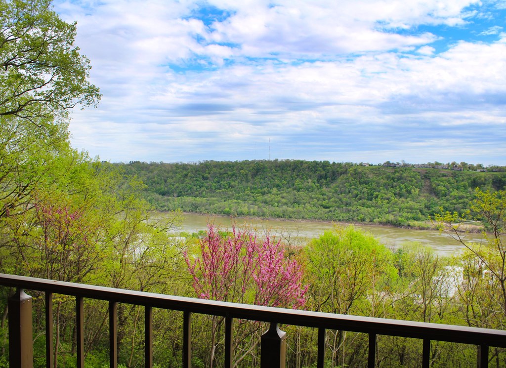 Indian Lookout greenery at Indian Lookout Apartments, Cincinnati, 45238