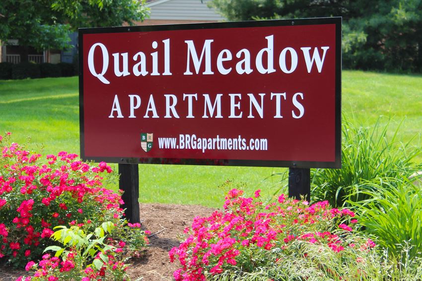 Quail Meadow