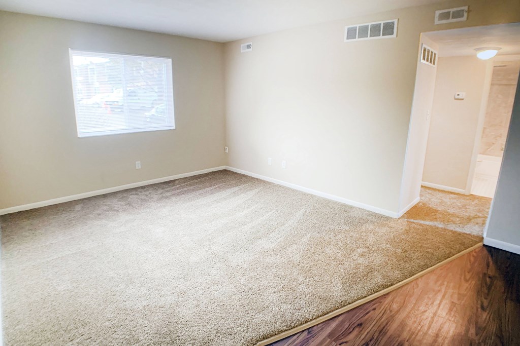 A room with a carpeted floor and a window.