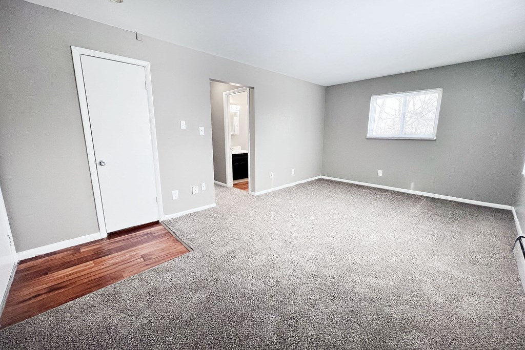 A room with a carpeted floor, a door, a window, and a small closet.