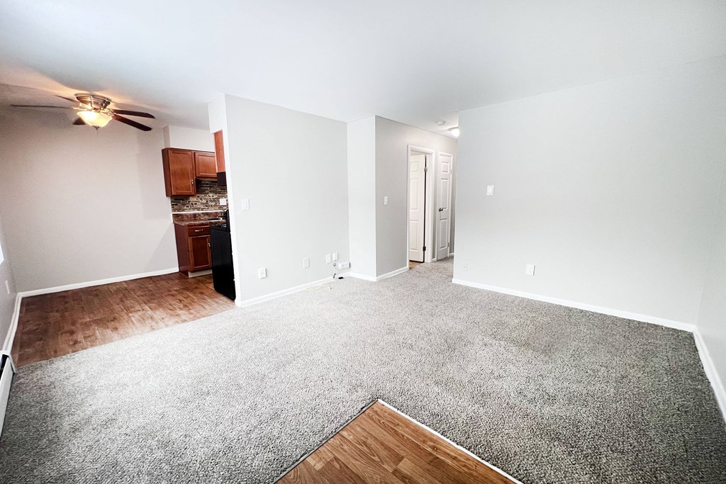 A spacious living room with a grey carpet and a ceiling fan.