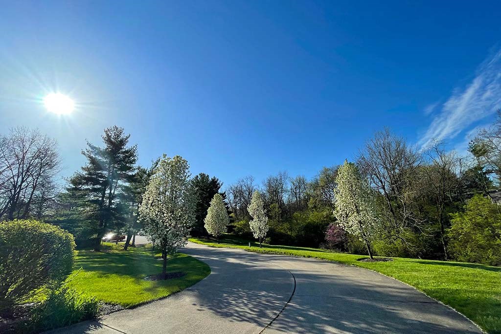 a street with trees on both sides and the sun shining in the background at Hunter Ridge Apartments, Ohio, 45244